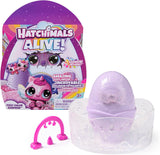 Hatchimals: Alive! Rainbow Splash - Fizzy Colour Surprise (Blind Box)