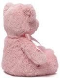 Gund: My First Teddy - Pink (38cm) Plush Toy