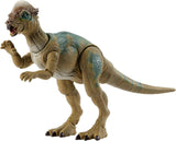 Jurassic World: Hammond Collection - Pachycephalosaurus Figure