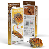 Eugy: Desert Spadefoot Toad - 3D Cardboard Model