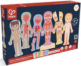 Hape: Human Body Magnetic Puzzle