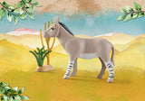 Playmobil: African Donkey (71289)