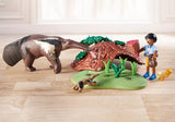 Playmobil: Anteater Care (71012)