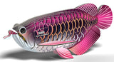 Eugy: Asian Arowana - 3D Paper Model