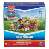 Paw Patrol: Pup Squad - Minifigure (Blind Box)