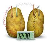 4M: Green Science Potato Clock