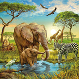 Ravensburger: Animals of the Earth (3x49pc Jigsaws) Board Game