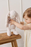 Snuggle Bunnies: Fairy Penelope the Bunny - Pastel 30cm Plush Toy