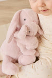 Snuggle Bunnies: Frankie the Hugging Bunny - Blossom 30cm Plush Toy