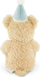 Snuggle Bunnies: Birthday Arthur the Bear - Sky Plush Toy