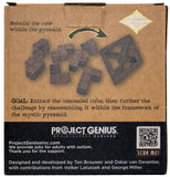 Project Genius: Egyptian Triglyph Board Game