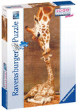 Ravensburger: Giraffe's First Kiss Panorama (1000pc Jigsaw) Board Game