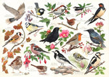 House of Puzzles: Birds in My Garden (1000pc Jigsaw) Board Game
