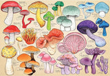 House of Puzzles: Mushroom Mania (1000pc Jigsaw) Board Game