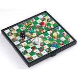 Magnetic Snakes & Ladders 10"