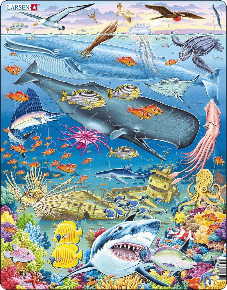 Larsen: Pacific Ocean Wildlife - 66 Piece Puzzle