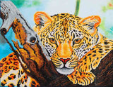 Diamond Dotz: Facet Art Kit - Leopard Look