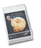 Gift Boxed Fossil: Ammonite
