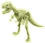4M: Sci:Bits - Glow T-Rex Skeleton