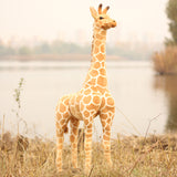 Giraffe (60cm)