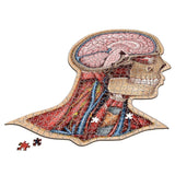 Dr Livingston's: 538-Piece Anatomy Puzzle - Human Head