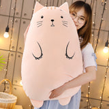 Chubby Cat Plush (50cm)