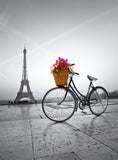 Romantic Promenade in Paris (500pc Jigsaw)