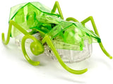 Hexbugs: Micro Ant - Mechanical Insect (Assorted Designs)
