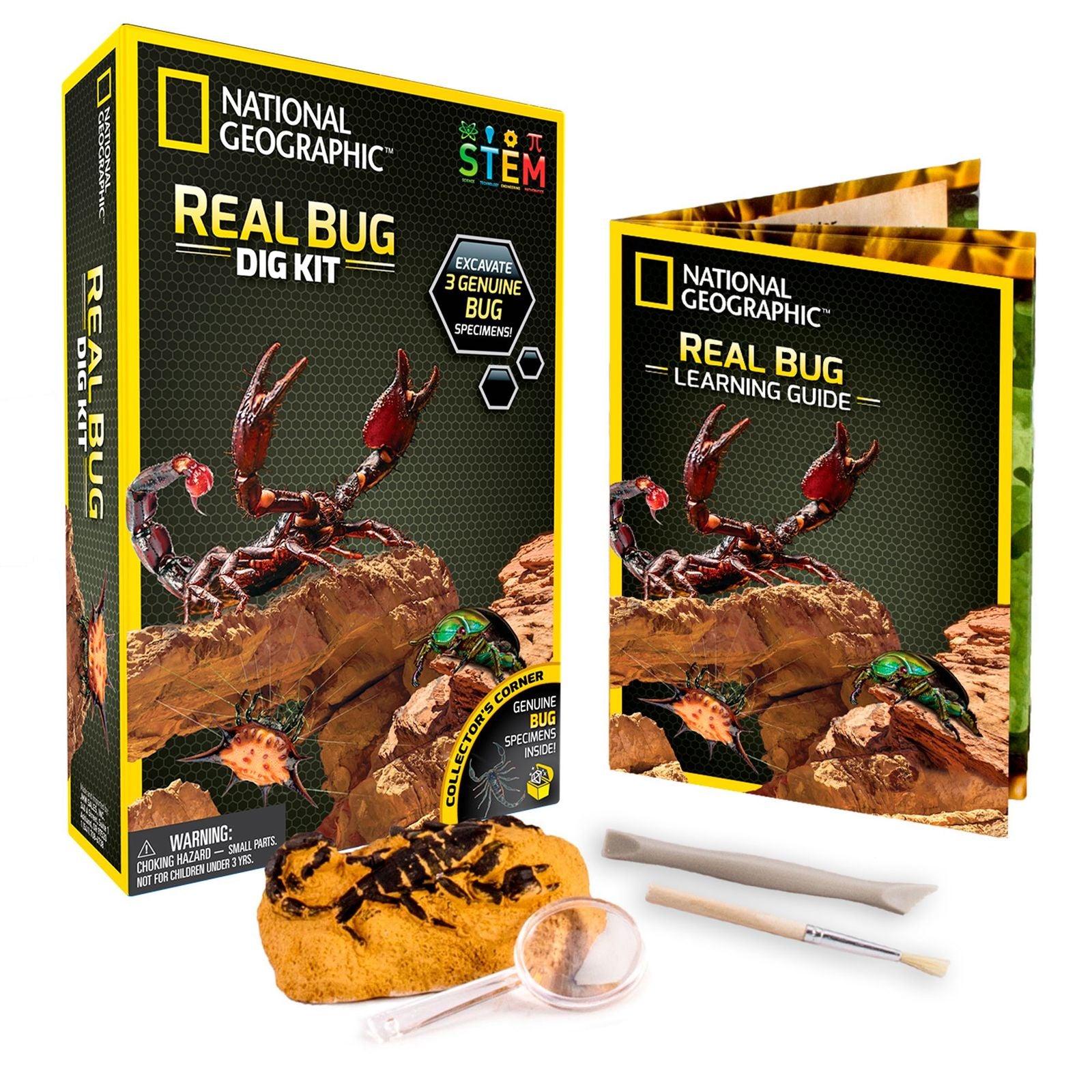 National Geographic: Real Bug Dig Kit