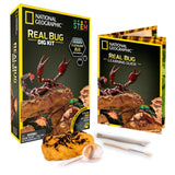 National Geographic: Real Bug Dig Kit