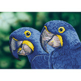 Diamond Dotz: Facet Art Kit - Blue Hyacinth Macaws (Intermediate)