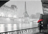 Wonderful Paris (1000pc Jigsaw)