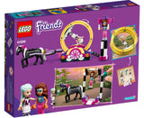 LEGO Friends: Magical Acrobatics - (416786)