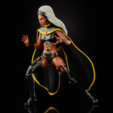 Marvel Legends: Storm & Thunderbird - 6" Action Figure Set