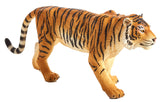 Mojo - Bengal Tiger