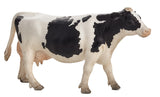 Mojo - Holstein Cow