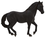 Mojo - Black Andalusian Stallion
