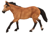 Mojo - Quarter Horse Buckskin
