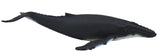 Mojo - Humpback Whale