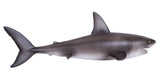 Mojo - Great White Shark