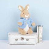 Peter Rabbit: Classic Peter Plush - 25cm