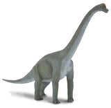 CollectA - Brachiosaurus