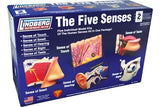 Lindberg The Five Senses Model Kit