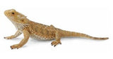 CollectA - Bearded Dragon Lizard